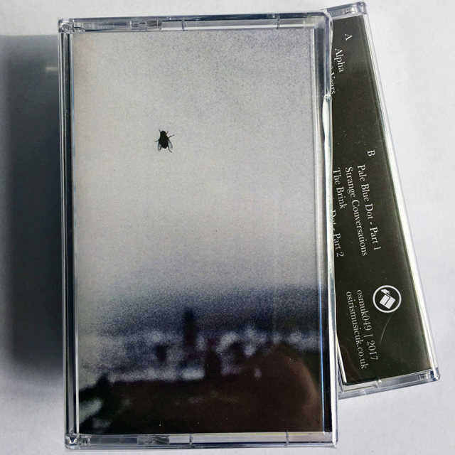Amorce Confounded 640 640